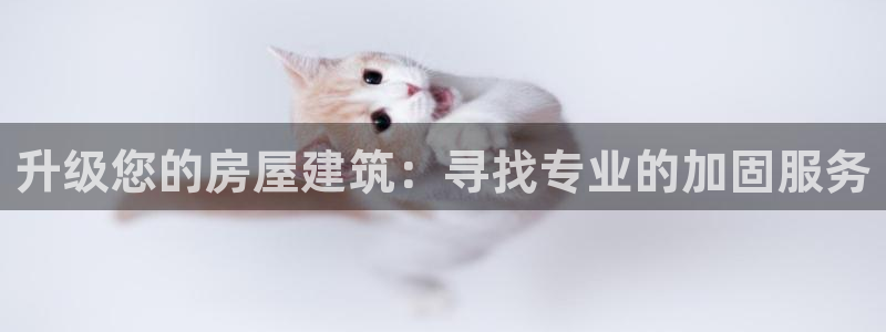 谈球吧网站
