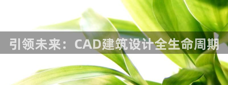 谈球吧是正规平台吗知乎