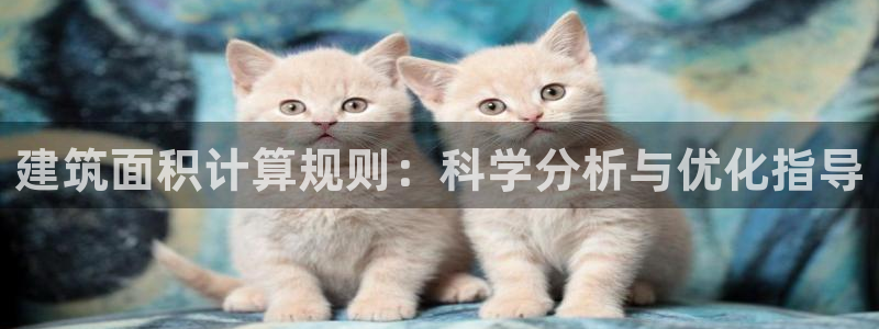 谈球吧的聊天软件