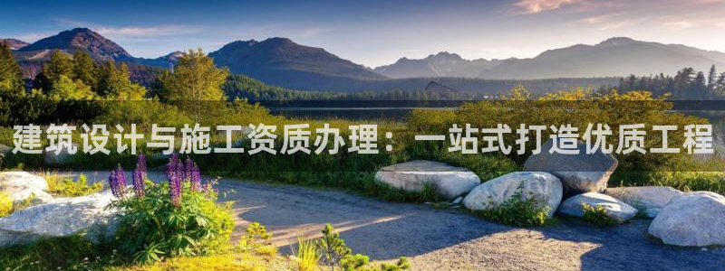 谈球吧与普通平台对比