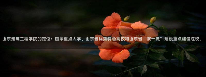 谈球吧体育app登陆不上