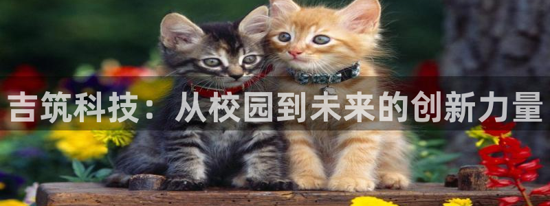 谈球吧官网在线入口手机版下载安装：吉筑科技：从校园到未来的创新力量
