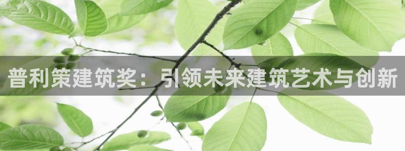 谈球吧是黑台子吗知乎全文