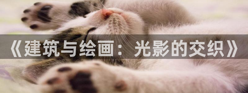 谈球吧体育app下载中心官方