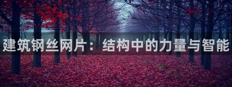 谈球吧最新APP下载