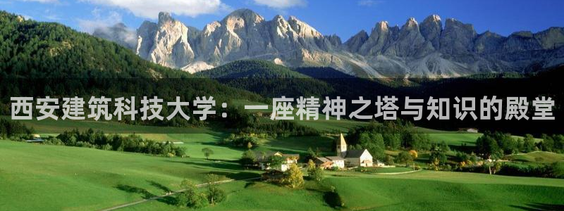 谈球吧体育官方入口