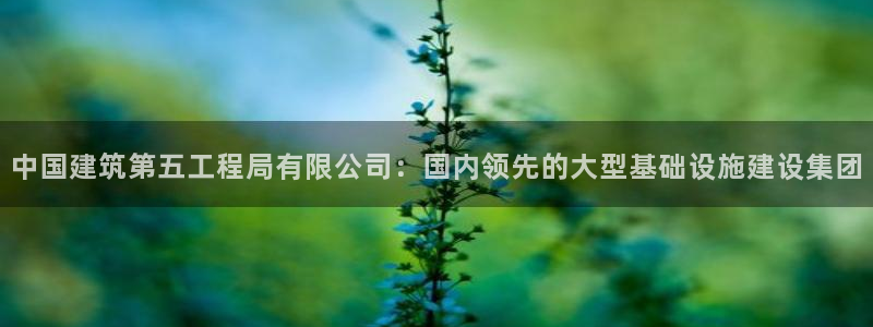 谈球吧(中国)官方网站：中国建筑第五工程局有限公司：国内领先的大型基础设施建设集团