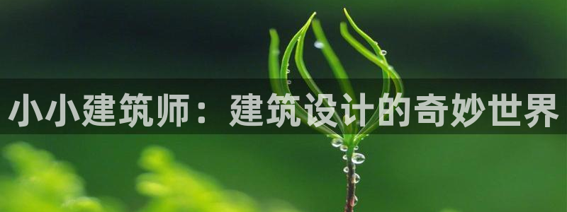 谈球吧app下载安装