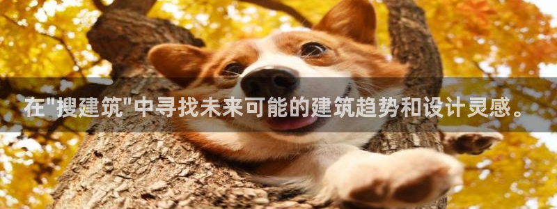 谈球吧娱乐app下载官网苹果手机