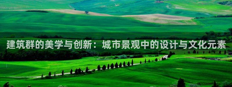 谈球吧官网入口在线观看