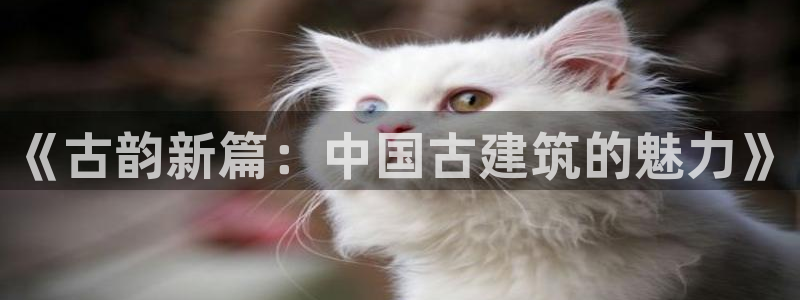 谈球吧体育app下载足球比赛