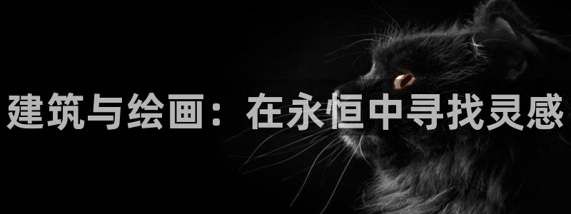 谈球吧属于哪个