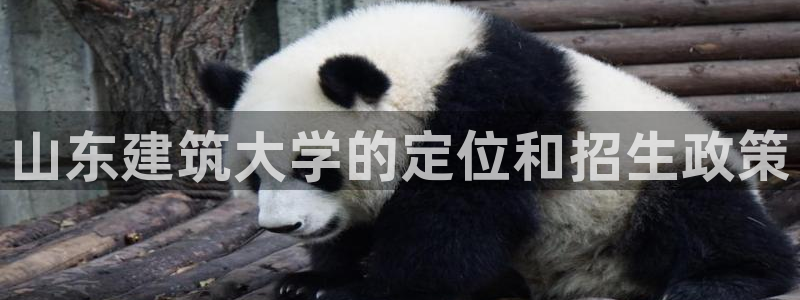 谈球吧app下载安装