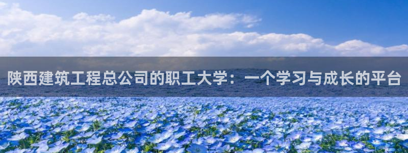 谈球吧体育app登陆不了