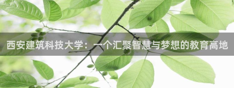 谈球吧电子app