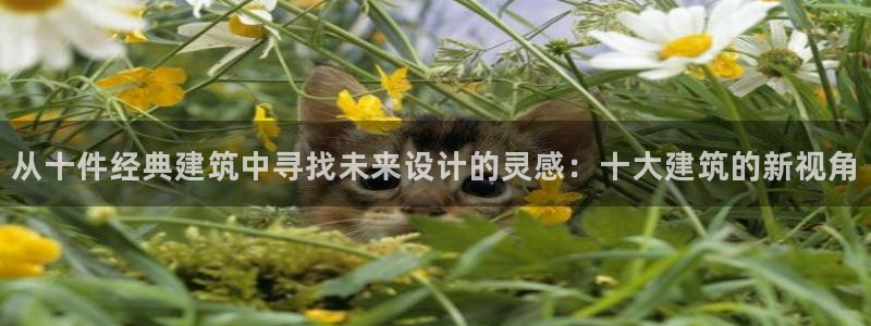 谈球吧打不开了