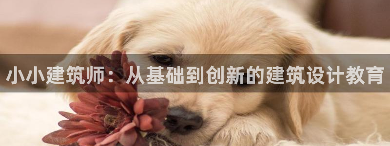 谈球吧体育app登陆