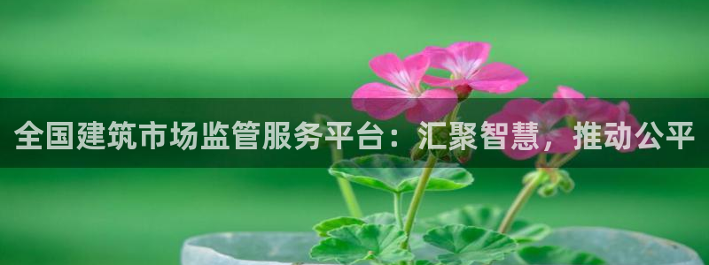 谈球吧黑款不