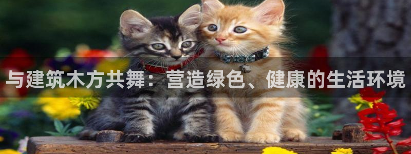 谈球吧官网在线入口网址