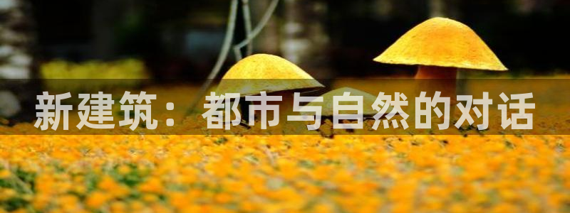 谈球吧app官方下载