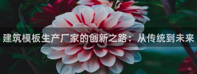 谈球吧官网在线入口免费观看高清