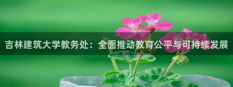 谈球吧的聊天软件是什么