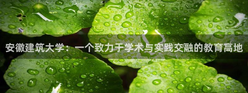 谈球吧网页登录