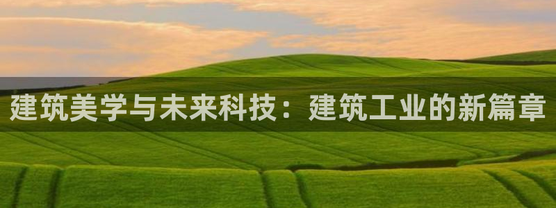 谈球吧体育app下载足球比赛