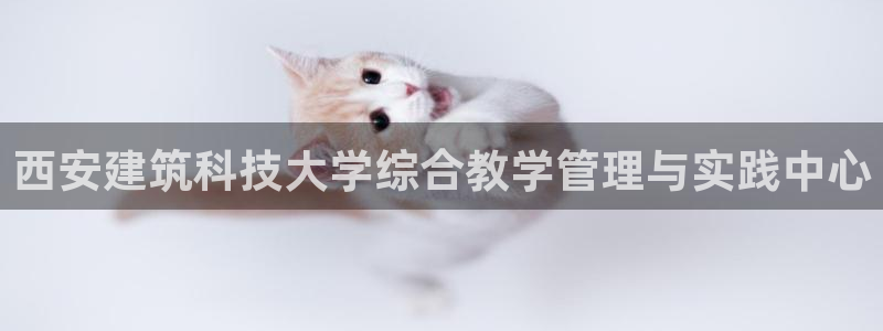 谈球吧下载地址