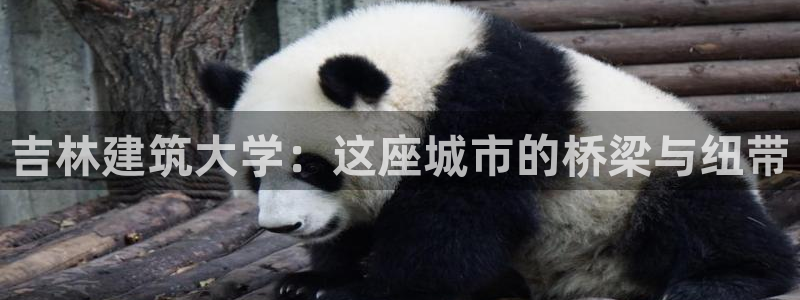 谈球吧官网在线入口手机版