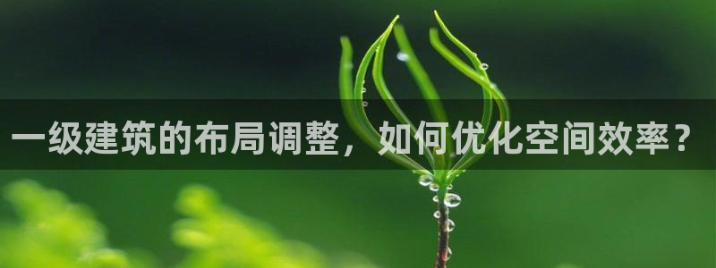 谈球吧官网在线入口手机版免费观看