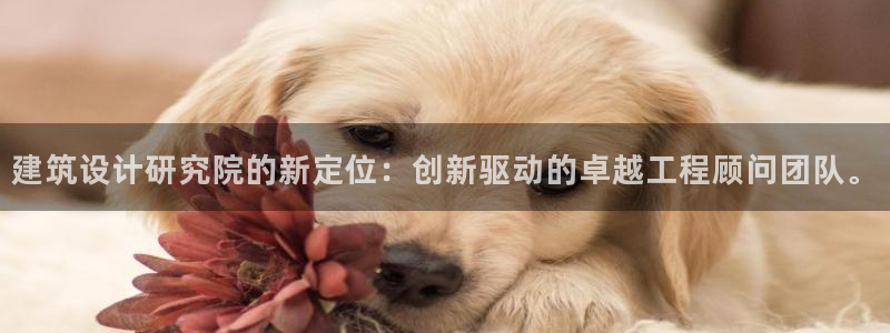 谈球吧官网app下载