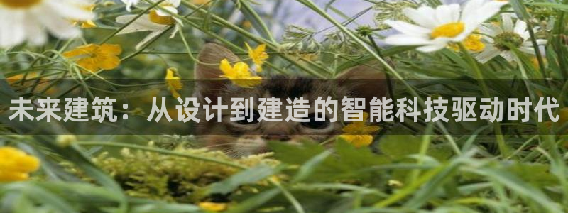 谈球吧平台正规吗可信吗