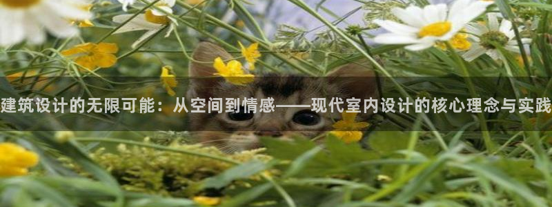 谈球吧在线登陆