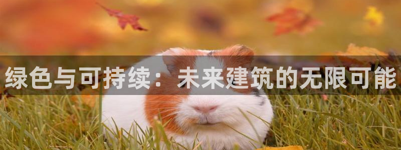 谈球吧咋样黑钱