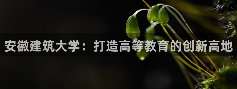 谈球吧官网入口