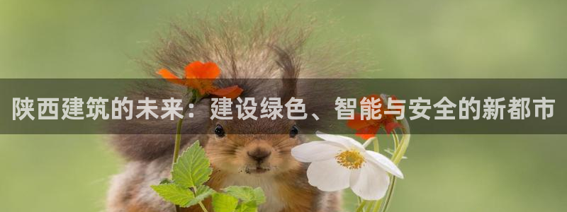 谈球吧网页版在线入口