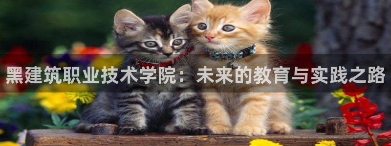 谈球吧体育app下载官网苹果手机