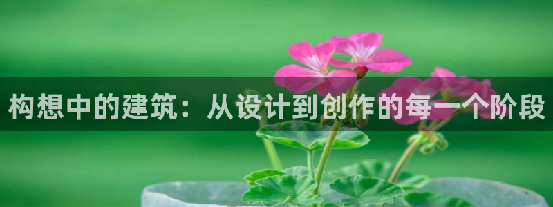 谈球吧app在哪里下载