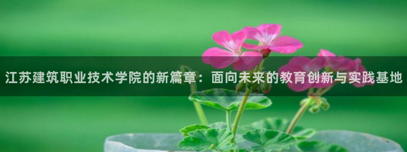 谈球吧的聊天软件叫什么