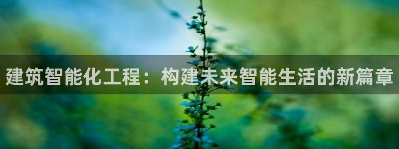 谈球吧买球是正规的吗