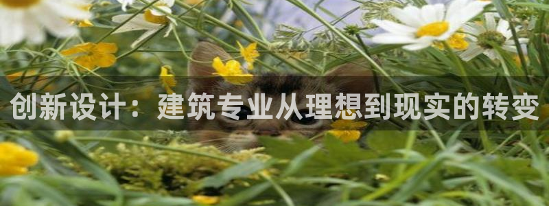 谈球吧体育app下载中心官方网站：创新设计：建筑专业从理想到现实的转变
