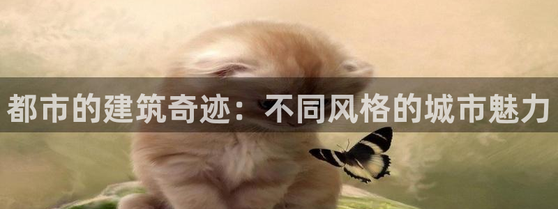 谈球吧官网在线入口免费观看视频