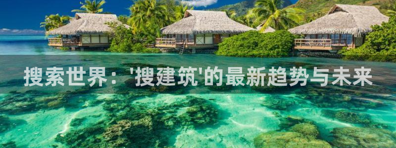 谈球吧官网在线入口免费观看