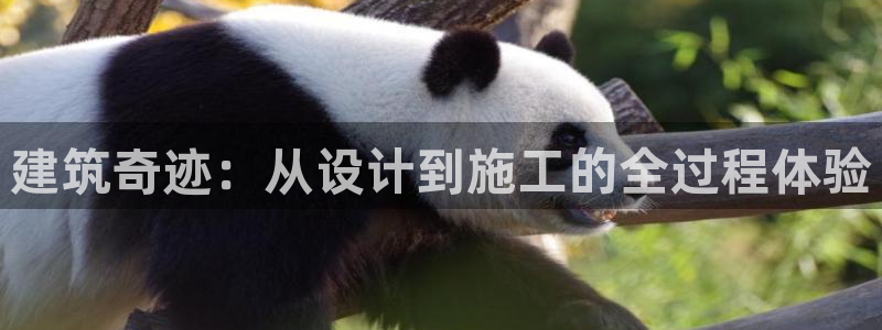 谈球吧app下载ios