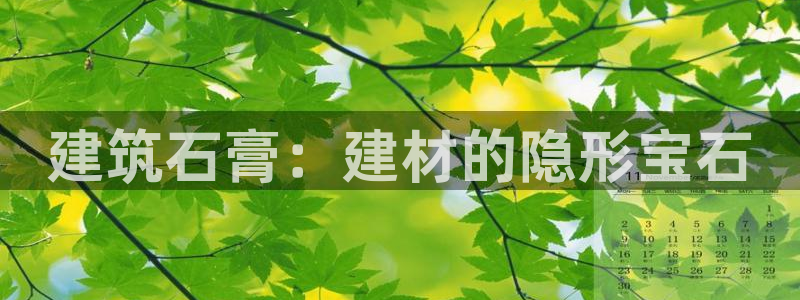 谈球吧app赛事分析