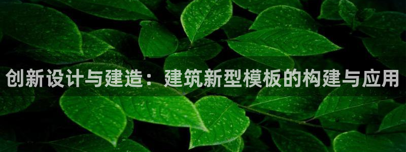 谈球吧体育官方入口
