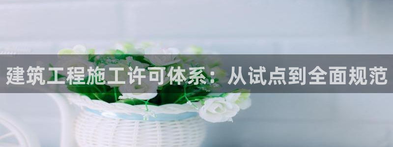 谈球吧官网在线入口免费观看视频网站