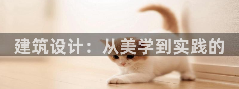 谈球吧官网入口