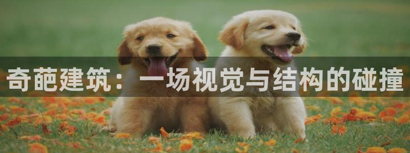 谈球吧娱乐app下载官网苹果手机